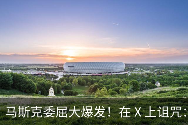 马斯克委屈大爆发！在 X 上诅咒：战争贩子，愿你们下地狱！